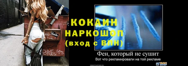 прущие грибы Наволоки