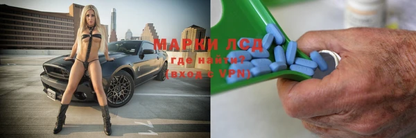 прущие грибы Наволоки